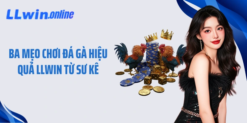 Ba mẹo chơi đá gà hiệu quả LLWIN từ sư kê