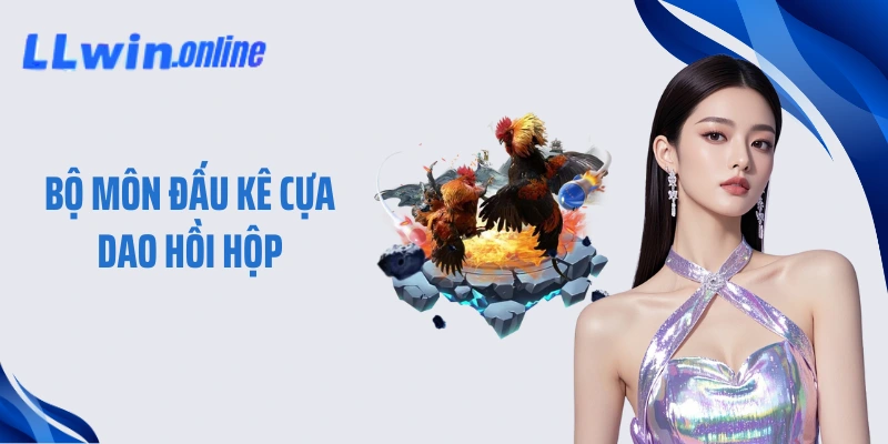 Bộ môn đấu kê cựa dao hồi hộp