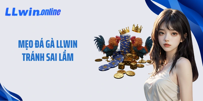 Mẹo đá gà LLWIN tránh sai lầm