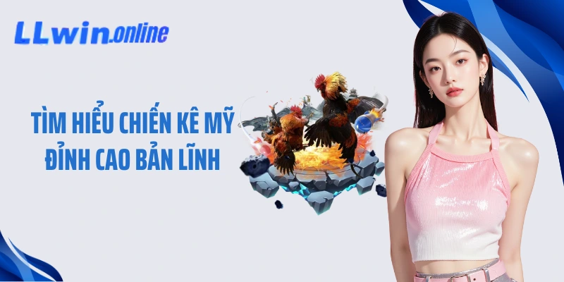 Tìm hiểu chiến kê Mỹ đỉnh cao bản lĩnh